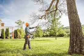 Reliable Piedmont, CA Tree Removal and Landscaping Services Solutions